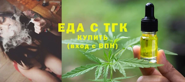 хмурый Алексин