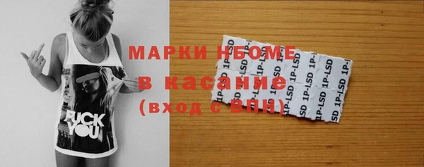 хмурый Алексин