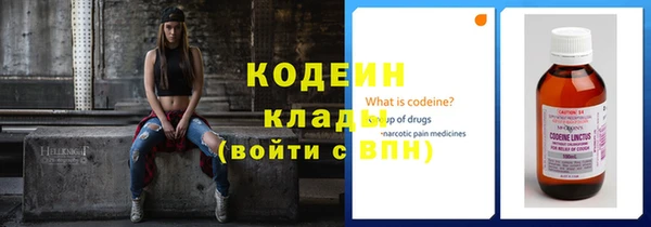 хмурый Алексин