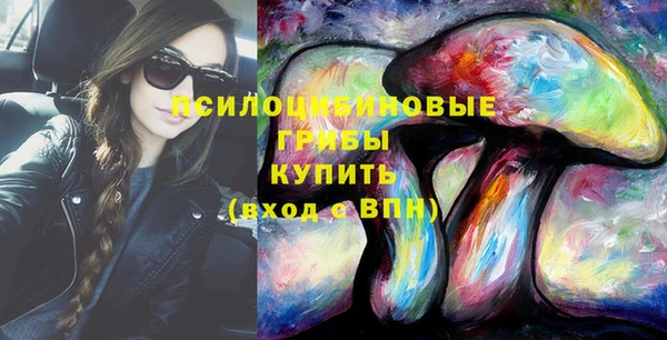 первитин Алексеевка