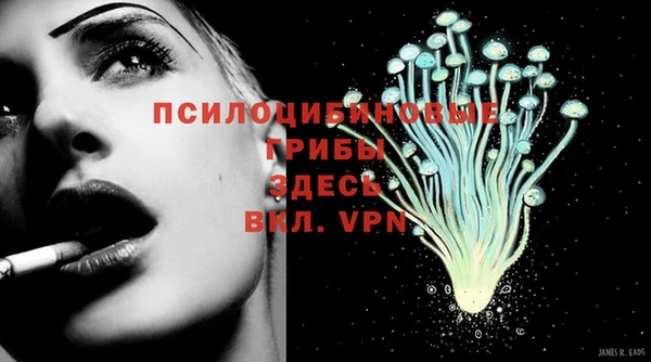 хмурый Алексин