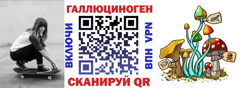Псилоцибиновые грибы Cubensis  Алексеевка 